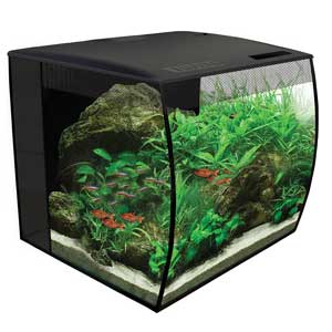 Fluval Flex 9 Gallon Aquarium